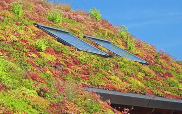 Great Budworth living roof systems